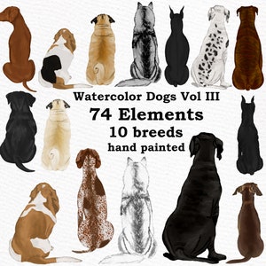 Chiens Clipart: « WATERCOLOR DOGS » Races de chiens Pet clipart Chiots clipart Chien pour mug Graphiques pour chiens Dog Bundle Dog Illustrations Cadeau pour les amoureux des chiens