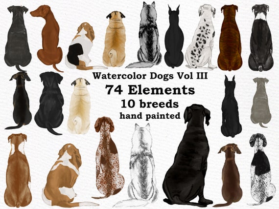 Download Dogs Clipart Watercolor Dogs Dog Breeds Pet Etsy