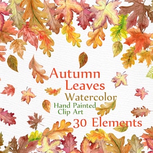 Clipart de feuilles aquarelle : Couleurs d’automne « Automne feuilles CLIPART » feuille clip art peint à la main Téléchargement instantané de clipart automne feuille automne Decor