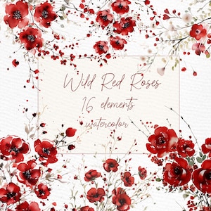 Clipart de roses sauvages rouges : « CLIPART DE ROSES AQUARELLE » Clipart floral rose sauvage poussiéreux BourgogneFleurs bordures Png Premade couronnes Clipart