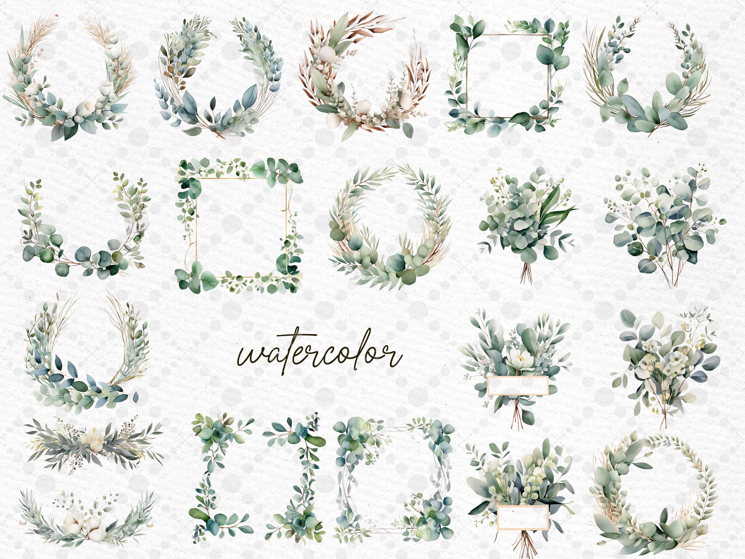 Eucalyptus Watercolor Clipart: Greenery Frames & Wreaths (PNG) - Etsy
