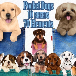 Pocket Dogs Clipart: "PUPPIES CLIPART" Hunderassen Clipart Taschen-Welpen Haustierportrait Hund Sublimationen Hundeliebhaber Geschenk Hund Illustrationen