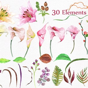 May include: Watercolour illustrations of pink and white calla lilies, pink lilies, green leaves, brown branches, and purple berries. The image includes the text "30 Elements".