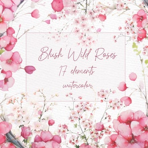 Blush Floral Clipart: "WATERCOLOR ROSES CLIPART" Dusty Wild Rose Floral Clipart Pink Rose Flowers Borders Png Premade Wreaths Clipart