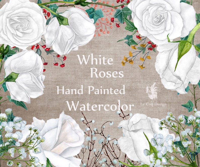 May include: Watercolour painting of white roses with green leaves and red berries on a brown hessian background. The text "White Roses Hand Painted Watercolour" is written in the centre of the image.