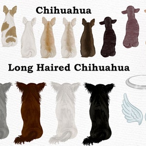 May include: A digital illustration of 10 chihuahua dogs in various colors and patterns. The dogs are sitting with their backs to the viewer. The text "Chihuahua" is above the dogs and the text "Long Haired Chihuahua" is below the dogs. There is a halo and a pair of angel wings to the right of the dogs.