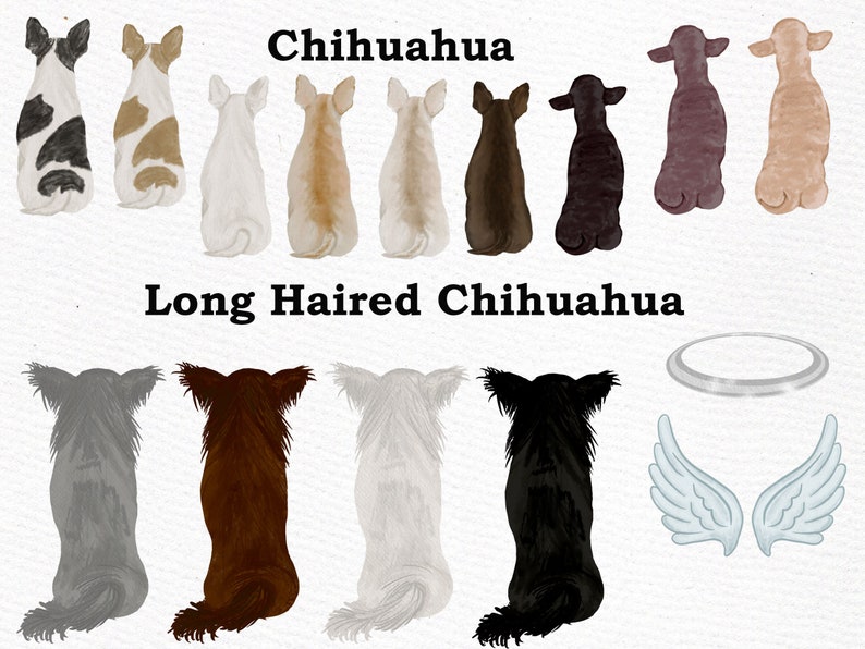 May include: A digital illustration of 10 chihuahua dogs in various colors and patterns. The dogs are sitting with their backs to the viewer. The text "Chihuahua" is above the dogs and the text "Long Haired Chihuahua" is below the dogs. There is a halo and a pair of angel wings to the right of the dogs.