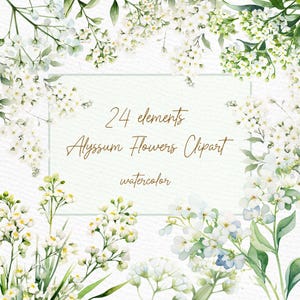 Clipart fleurs blanches : « ALYSSUM FLOWERS » fleurs rustiques clipart botanique bordures florales Premade Clipart Couronne de fleurs sauvages