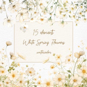 White watercolor Flowers clipart: &quot;WATERCOLOR WHITE FLOWERS&quot; Wildflowers clipart Floral Borders Premade Clipart Chamomile clipart Border Png