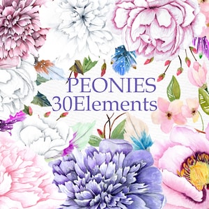 Watercolor peonies clipart: &quot;FLOWERS CLIPART&quot; Floral clipart Wedding invitation DIY clipart Peony flower clipart Invitation clipart