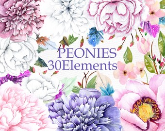 Watercolor peonies clipart: "FLOWERS CLIPART" Floral clipart Wedding invitation DIY clipart Peony flower clipart Invitation clipart