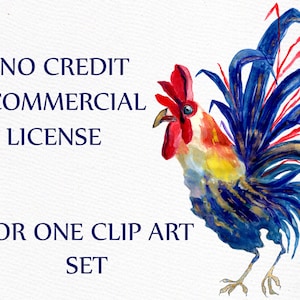 Limited Commercial License - Single product