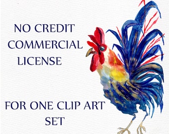 Limited Commercial License - Single product