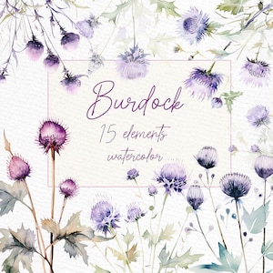 Clipart floral sauvage : « Fleurs de bardane PNG » Faire-part de mariage de fleurs à l'aquarelle Fleurs des prés des champs Fleurs pressées à sec Premade Clipart