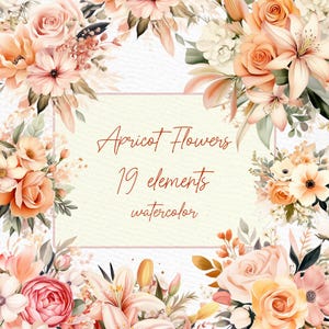 Clipart de flores de lírio: "BUQUÊS DE LÍRIOS PNG" Flores em aquarela Lírios Flores Clipart Bordas florais Desenhos pré-fabricados Flores de casamento PNG