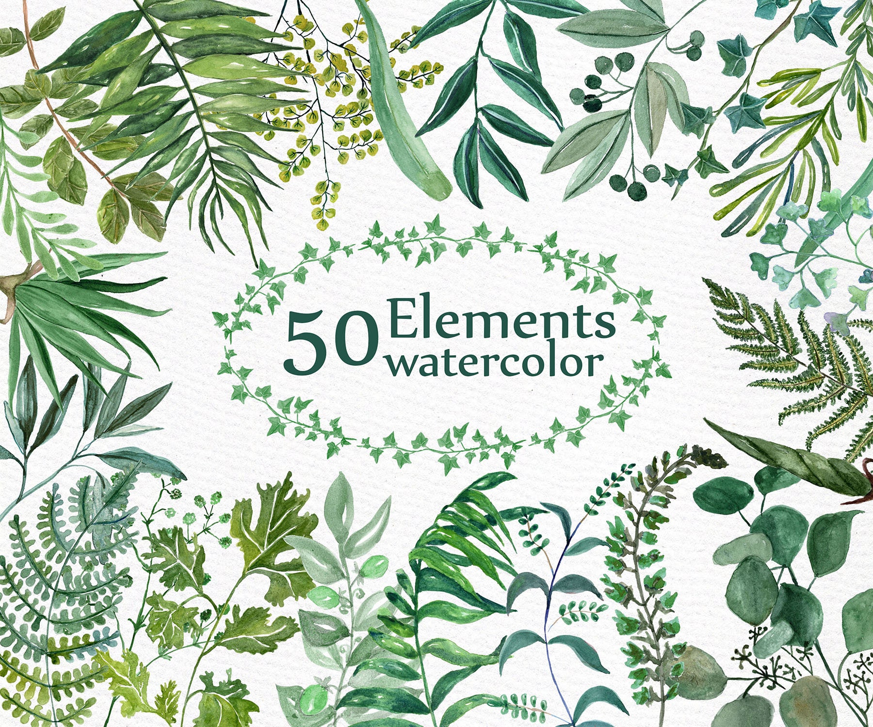 Watercolor Ferns Clipart: "WATERCOLOR CLIP ART" Branches cl…