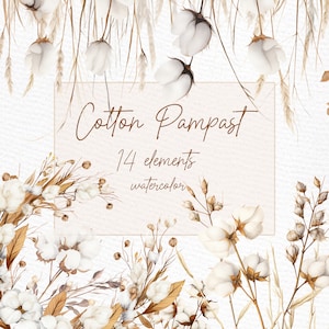 Clipart di cotone: "BOHO PAMPAS CLIPART" Pampas Erba Png Acquerello Cotone Png Rami di cotone Papmpas Bouquets Png Clipart preconfezionate