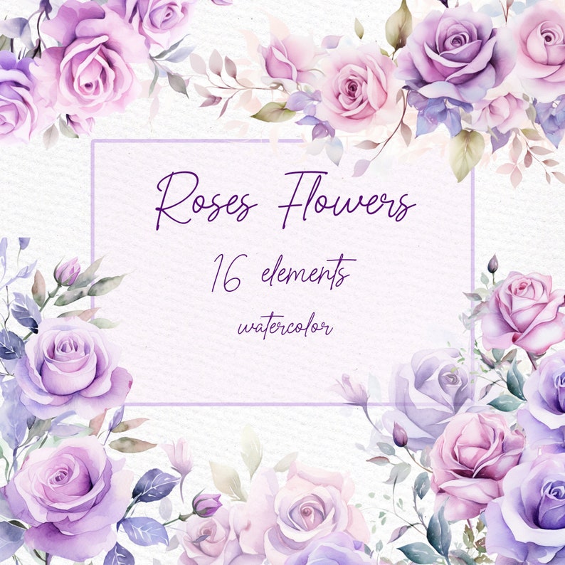 Watercolor Purple Roses Clipart: Floral Wreaths & Borders (PNG) - Etsy