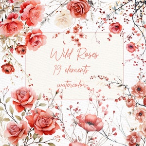 Clipart De Rosas Selvagens Vermelhas: "WARECOLOR ROSES CLIPART" Dusty Wild Rose Floral Clipart