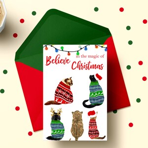 May include: Christmas card with the text "Believe in the magic of Christmas" and a design of five cats wearing festive sweaters. The cats are in various poses, including sitting, standing, and looking up.