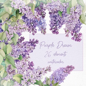 Acuarela Flores Lilas Clipart: "CLIPART DE FLORES PÚRPURAS" Ramas Lilas Png Marcos Florales Lilas Bordes Lilas Png Coronas Prefabricadas Clipart