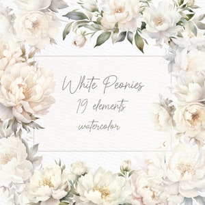 Clipart floral blanc : « Aquarelle de pivoine blanche » clipart de pivoines blanches Fleurs blanches rustiques bordures florales Premade Clipart Clipart mariage