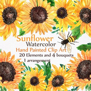 May include: Watercolor clip art featuring 20 sunflower elements and 4 bouquets, including a single arrangement. The sunflowers are painted in shades of yellow and orange with brown centers. The artwork also includes a bee with black and yellow stripes.