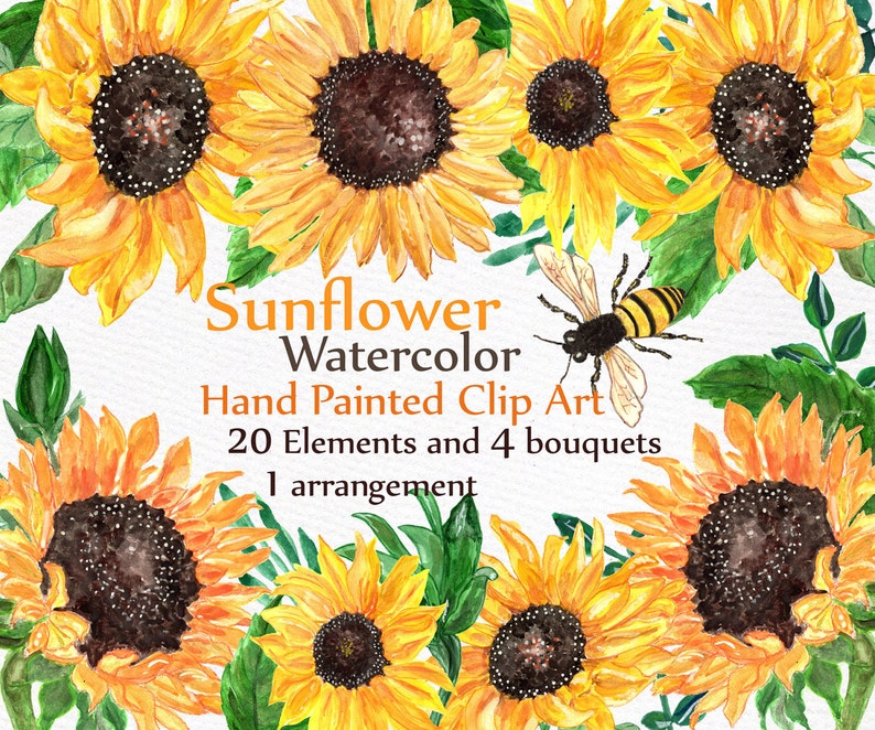May include: Watercolor clip art featuring 20 sunflower elements and 4 bouquets, including a single arrangement. The sunflowers are painted in shades of yellow and orange with brown centers. The artwork also includes a bee with black and yellow stripes.
