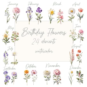 Imágenes prediseñadas de flores del mes de nacimiento: "FLOR DEL MES DE NACIMIENTO" Flores de acuarela Diseños prefabricados Clipart botánico Regalo del Día de la Madre Imágenes prediseñadas del mes de nacimiento
