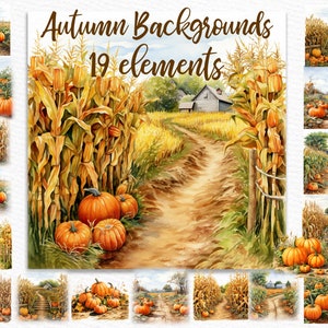Autumn Landscapes clipart: &quot;FALL BACKGROUNDS&quot; Pumpkin patch Png Thanksgiving Clipart Pumpkin Field Png Autumn Background Corn Field Png