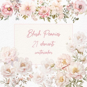 May include: Watercolor illustration of blush pink peonies and other flowers. The image includes 21 elements and the text "Blush Peonies 21 elements watercolor".