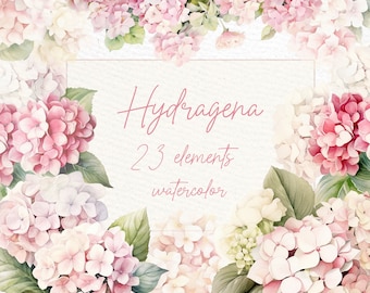 Clipart aquarel hortensia: bloemenboeketten, randen (PNG, 300 dpi)