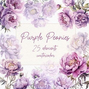 Paarse bloemen clipart: "Aquarel paarse pioenrozen" stoffige paarse bloemen clipart wilde bloemen clipart bloemenranden PNG premade clipart