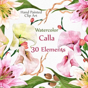 Clipart de flores de casamento em aquarela: "FLORAL CLIP ART" Calla clipart Elementos DIY convites de casamento Cartão de flores separadas pintado à mão