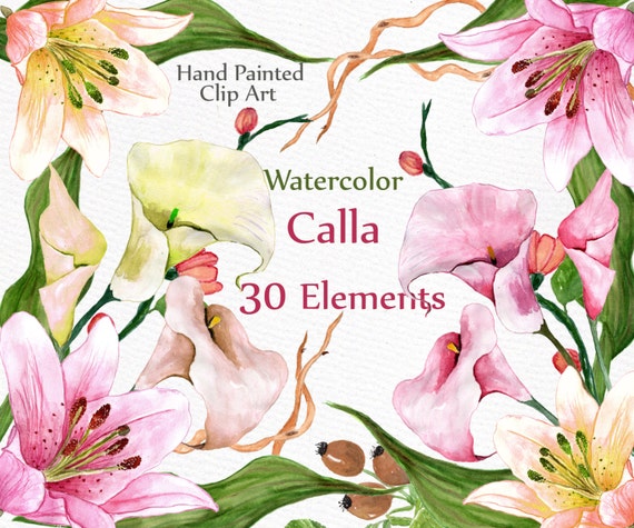 Watercolor wedding flowers clipart: "FLORAL CLIP ART" Calla clipart Diy elements wedding invites Hand painted separate flowers greeting card