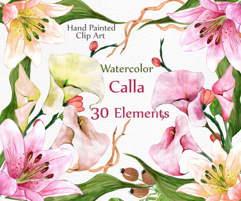 May include: Watercolour clip art featuring 30 elements of pink, white and yellow calla lilies and lilies. The text "Hand Painted Clip Art" and "Watercolor Calla 30 Elements" is included in the image.