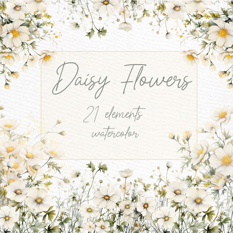 Watercolor Daisy Clipart: White Flowers, Floral Borders (PNG) image 1