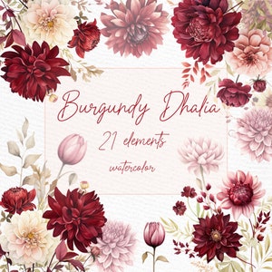 Clipart fleurs bordeaux : « FLEURS DE DHALIA BOURGOGNE » Bouquets bordeaux Graphismes de mariage Fleurs aquarelles coins floraux bordeaux Png
