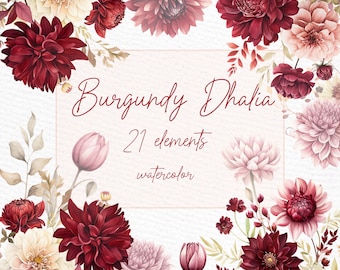 Burgundy Dahlia Flowers Clipart: Watercolor Floral Graphics (PNG)