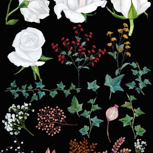 May include: Watercolour illustrations of white roses, ivy, berries, and other floral elements on a black background. These botanical illustrations are perfect for crafting, scrapbooking, and other creative projects.