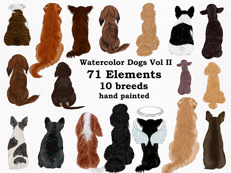 May include: Watercolor illustrations of 10 different dog breeds in various poses. The dogs are all sitting and facing away from the viewer. The illustrations are hand-painted and have a watercolor effect. The text "Watercolor Dogs Vol II 71 Elements 10 breeds hand painted" is written in the center of the image.