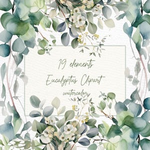 Peut inclure: Clipart aquarelle de 19 éléments de feuilles et de fleurs d'eucalyptus dans des tons de vert, blanc et jaune. L'image comprend le texte "19 éléments Eucalyptus Clipart aquarelle".