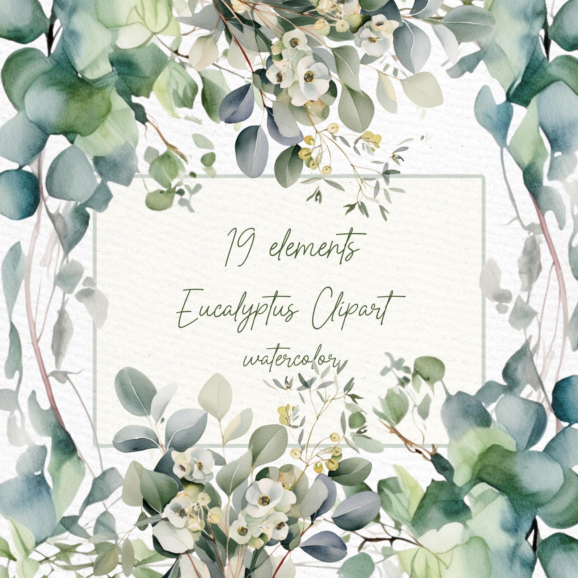 Eucalyptus Watercolor Clipart: Greenery Frames & Wreaths (PNG) - Etsy