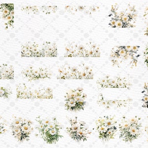 Watercolor Daisy Clipart: White Flowers, Floral Borders (PNG) image 2