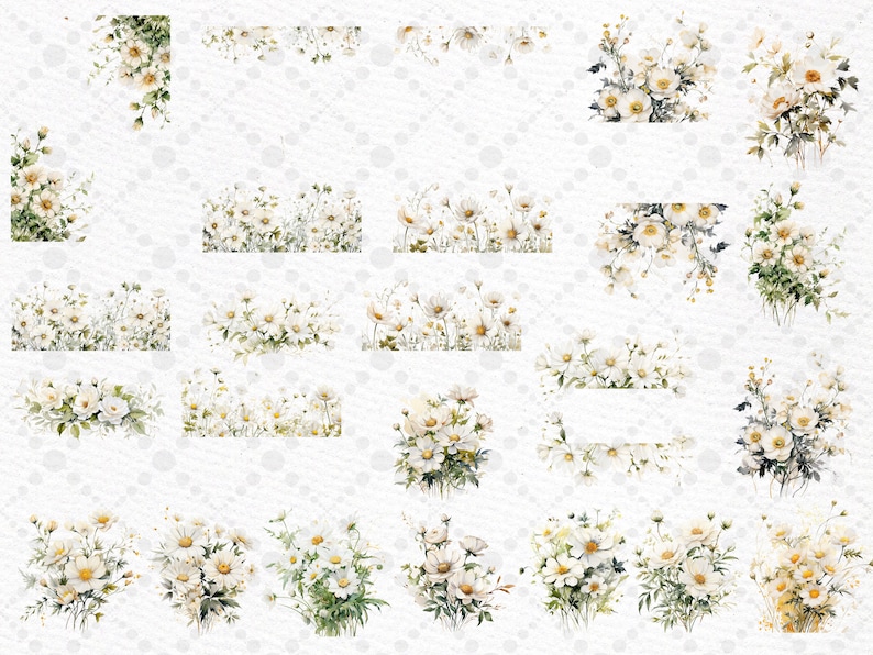 Watercolor Daisy Clipart: White Flowers, Floral Borders (PNG) image 2
