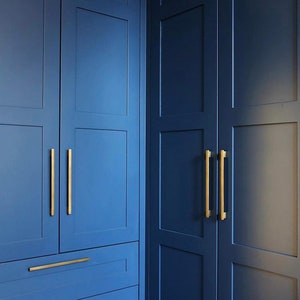 May include: Close-up of a set of blue closet doors with gold hardware. The doors have a raised panel design and are accented with gold pulls.