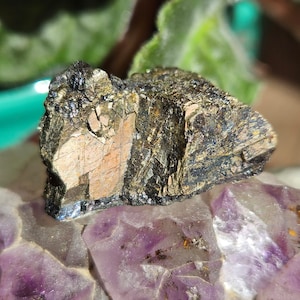 May include: A dark gray and black crystal with a brown and white stripe sits on a bed of purple amethyst crystals.