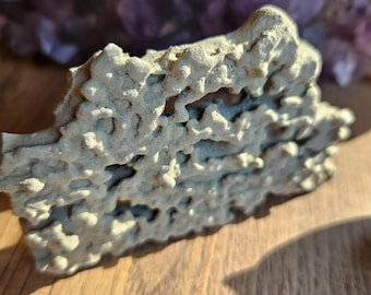 Concretion | Unknown Location