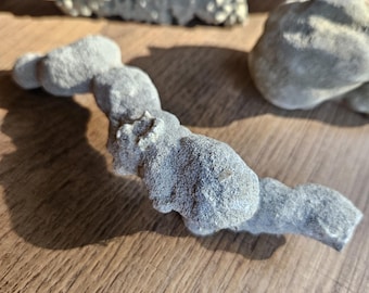 Concretion | Unknown Location