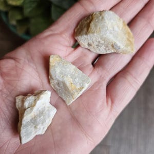 May include: Three rough-cut, light-colored stones with a mix of beige and white hues are displayed in an open palm. The stones have irregular shapes and textures, suggesting they are natural specimens. The background includes a hint of greenery and a wooden surface.